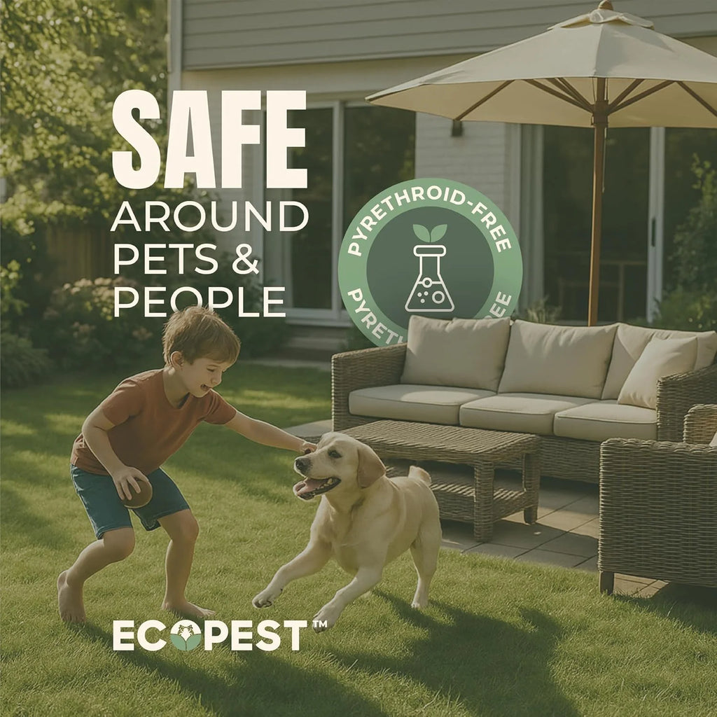 Mite Spray �C Natural Killer for Dust, Bird, Spider, Scabies & Other Mites | Bedding & Furniture-Safe | Treatment for Chickens, Poultry, Dogs, Cats, Reptiles & Other Pets | Indoor & Outdoor (1 Gallon)