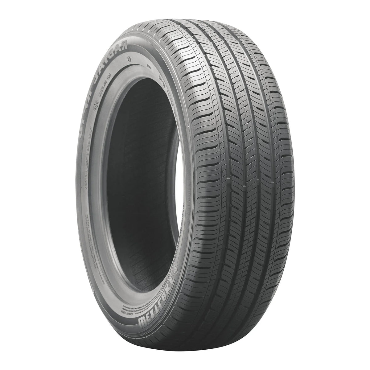 RP18 All Season 225/65R16 100H Passenger Tire